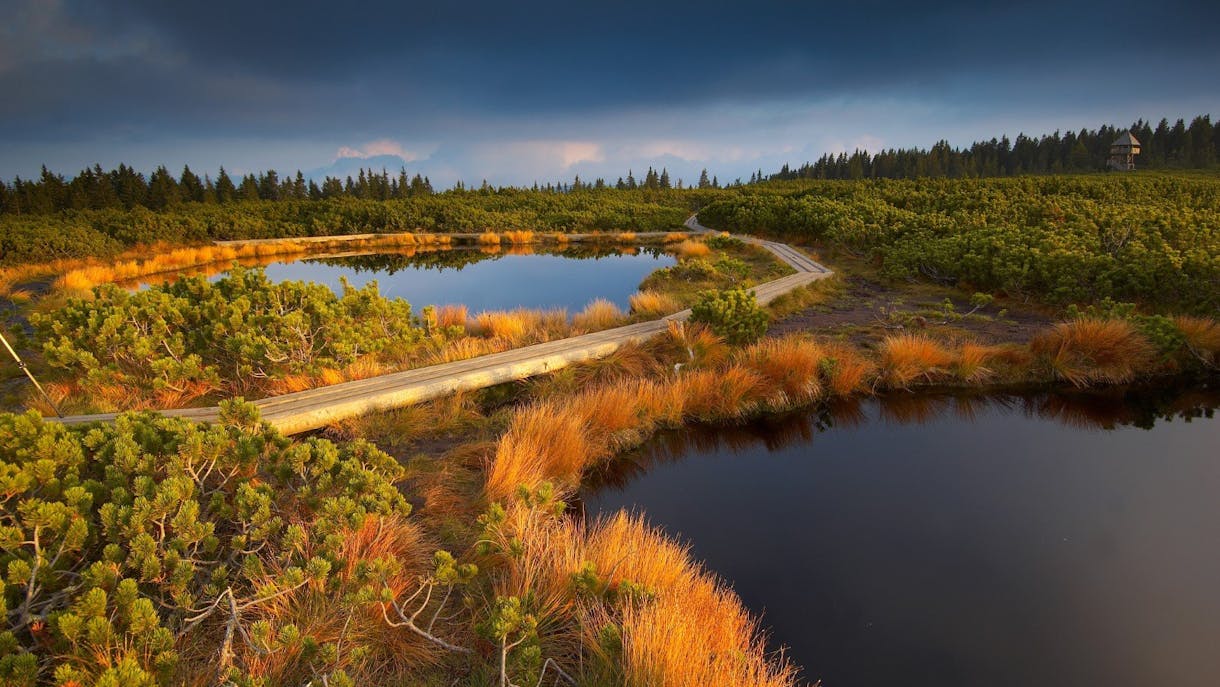 Regijski park Pohorje